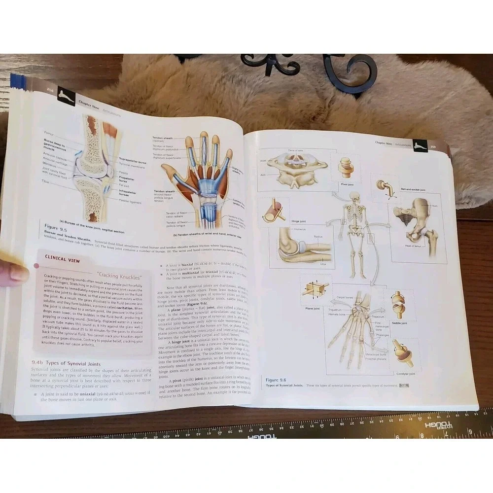 Anatomy physiology the unity of‎ form and function 6th Edition